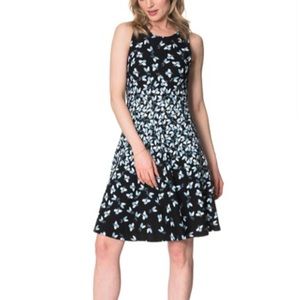 Leota Ava A-Line Dress (Plus Size)